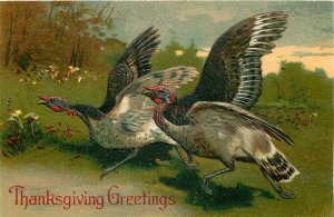 Thanksgiving, Two female turkeys on the run