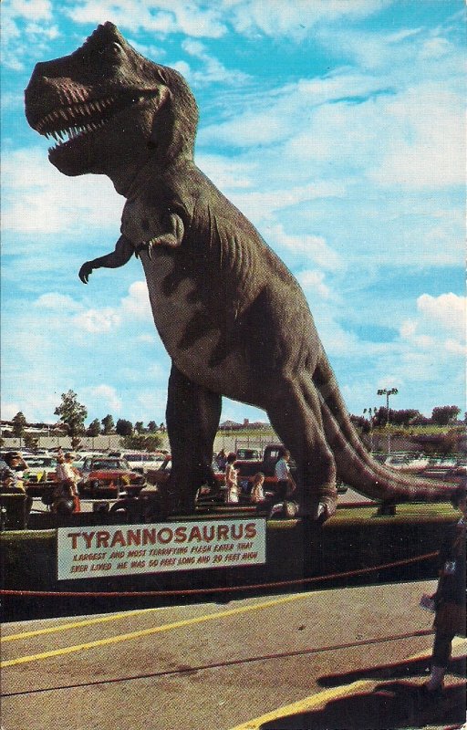 DINOSAUR Museum, Glen Rose TX, Tyrannosaurus Rex, Dinosaur Tracks, 1960s Paluxy