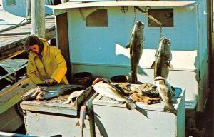 Narragansett Rhode Island Galilee Docks Fish Catch Vintage Postcard K19152