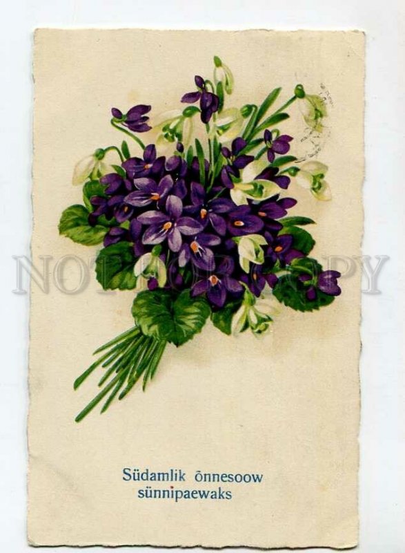 3150291 SNOWDROPS & VIOLETS Bouquet RPPC Estonia Tallin 1928