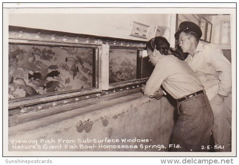 Florida Homosassa Springs Viewing Fish From Sub-Surface Windows Real Photo