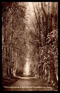 Lime Avenue,Castle Grant,Grantown on Spey,Scotland,UK