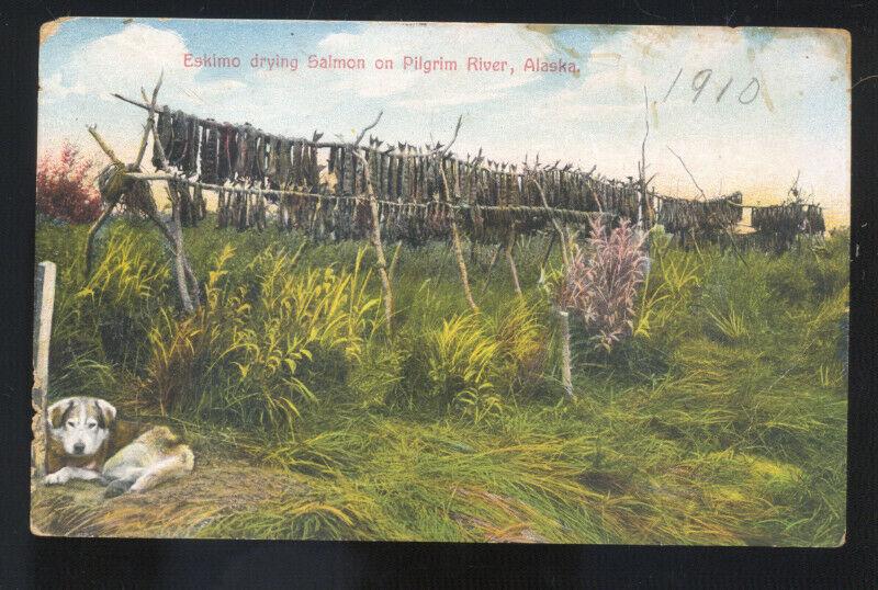 ESKIMOS DRYING SALMON PILGRIM RIVER ALASKA FISHING VINTAGE POSTCARD AYPE