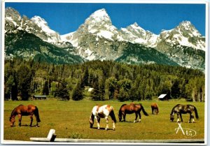 Postcard - The Grand Tetons - Wyoming