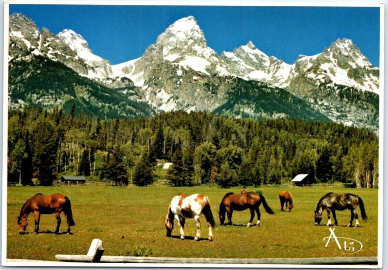 Postcard - The Grand Tetons - Wyoming