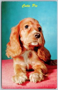 Vtg Cutie Pie Cocker Spaniel Puppy Dog Postcard