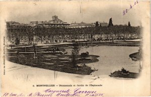 CPA MONTPELLIER Promenade et Jardin Esplanade (984436)