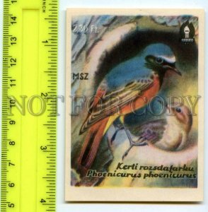 500281 HUNGARY Bird Phoenicurus Phoenicurus Old match label