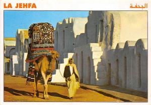 BF39544 tunisia les jehfa   camel chameau  animal animaux