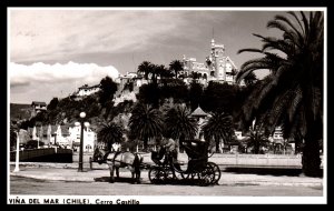 Horse and Buggy,Cerro Castle,Vina Del Mar,Chile