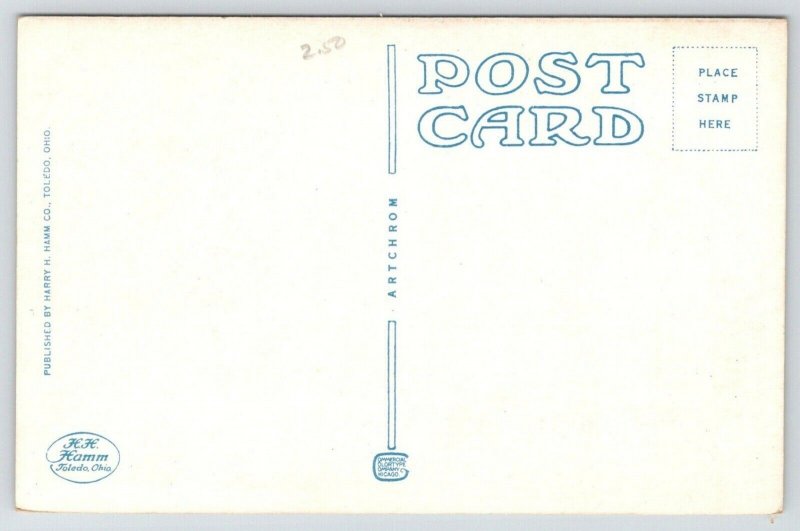 Jackson Michigan~Post Office~Flag on Roof~Buildings Beside-Behind~1920s