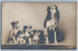1905 Mother Collie Dog And Her Puppies Ottawa Lake MI RPPC Photo Postcard