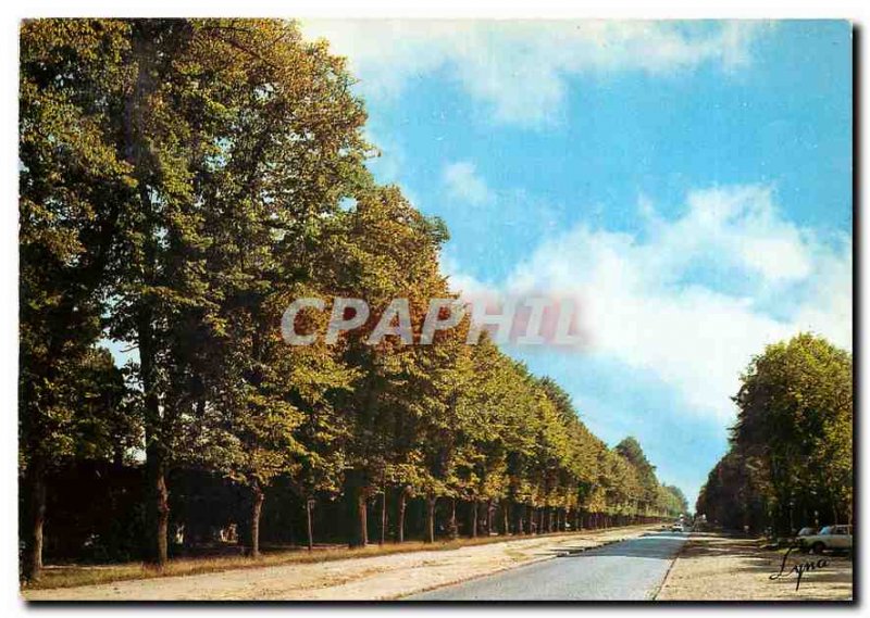Modern Postcard Bellevue Meudon (Hauts de Seine) Allee du Chateau