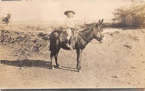 Child on a donkey Child, People Photo Writing on back 