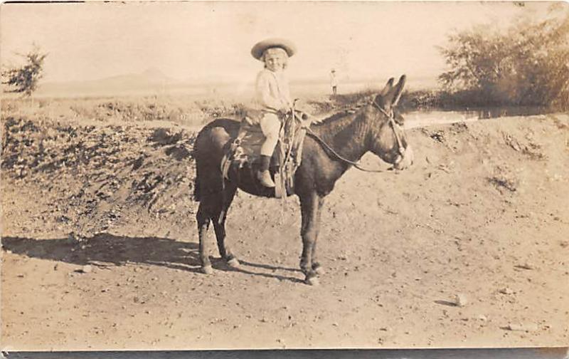 Child on a donkey Child, People Photo Writing on back 