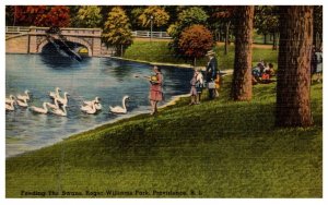 Rhode Island Providence , Roger Williams Park, Feeding the Swans