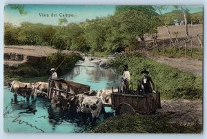 Costa Rica Postcard Camp View Bull Cart Passing River c1910 Antique Posted