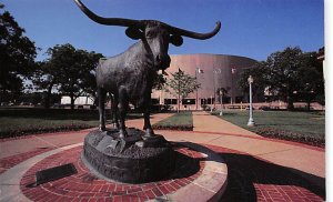 Longhorn University Of Texas - Austin, Texas TX