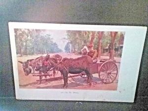 Postcard Horse and Buggy In No Hurry  Embossed