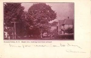 Newark Valley New York Maple Avenue Street Scene Antique Postcard K89182