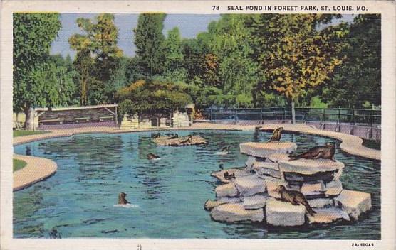 Seal Pond In Forest Park Saint Louis Missouri 1934