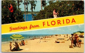 Postcard - Greetings from Florida