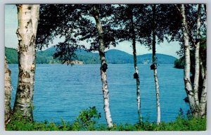 Silver Birches Lake Scene Greetings From Thessalon Ontario Canada 1960 Postcard