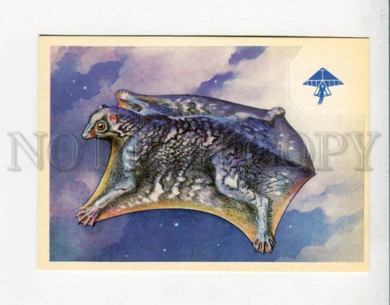 3093641 Wool wing old Color Russian Card