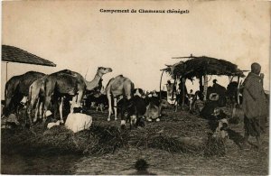 CPA AK SÉNÉGAL-Campement de Chameaux (331270)