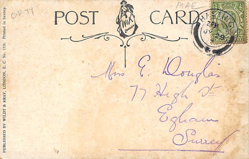 Piguliar Card Hastings Pig Postal Used Unknown 