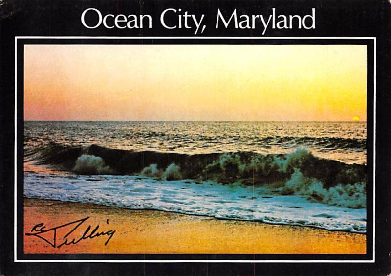 Ocean City - 