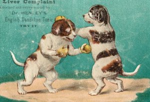 1870's-80's Dr Henley's English Dandelion Tonic Quack Medicine Boxing Dogs 2 F48