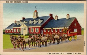 Genesse 12 Horse Team near Rochester 1940 to Bellaire Ohio Linen Postcard W11