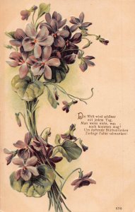 Spring Greetings Violet Flowers embossed postcard