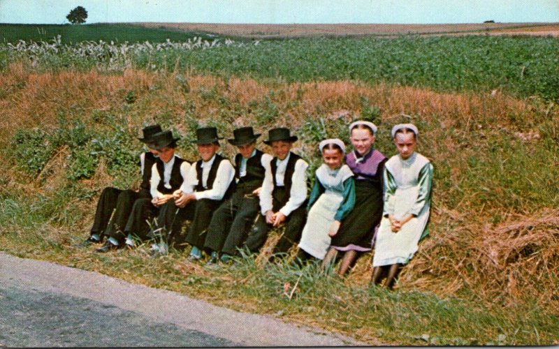 Pennsylvania Greetings From Amish Country Group Of Amish Boys and Girls Resti...