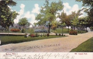 Loomis Park Jackson Michigan 1906
