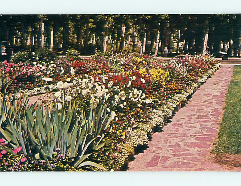 Unused Pre-1980 FLOWER BEDS & PARK SCENE Anaconda Montana MT r8525-12