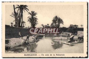 Old Postcard Morocco Marrakech A corner of the Palmeraie