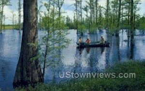 Lake Bottineau state park - Shreveport, Louisiana LA