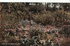 Leicestershire Postcard - View in Mowbray Grounds   F549