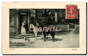 Postcard Old Jumper Horse Equestrian Horse Loffler