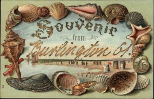 Burlington Vermont VT Seashell Border Souvenir c1910 Vintage Postcard