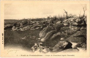 CPA Fontainebleau Gorges de Franchard FRANCE (1300197)