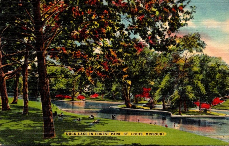 Missouri St Louis Forest Park Duck Lake 1951