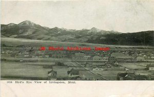 MT, Livingston, Montana, City Scene, Bird's Eye View, Wells No 1854