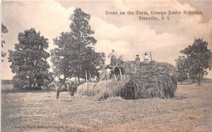 Farm Freeville, New York Postcard
