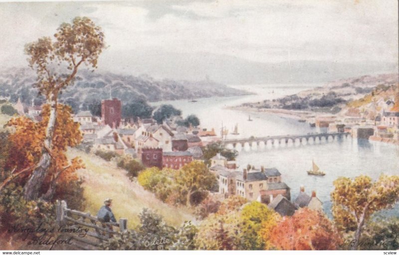 BIDEFORD #2, Devon, England; 1900-10s, TUCK 7076