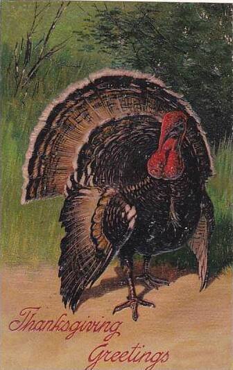 PFB Serie 7721 Thanksgiving Greetings Embossed Turkey 1908