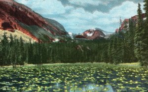 Chickadee Lake Wild Basin Rocky Mountain National Park Area Colorado CO Postcard