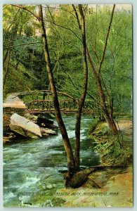 Minneapolis Minnesota~Chunk @ Shore~Minnehaha Park in Summer~Rustic Bridge~c1910